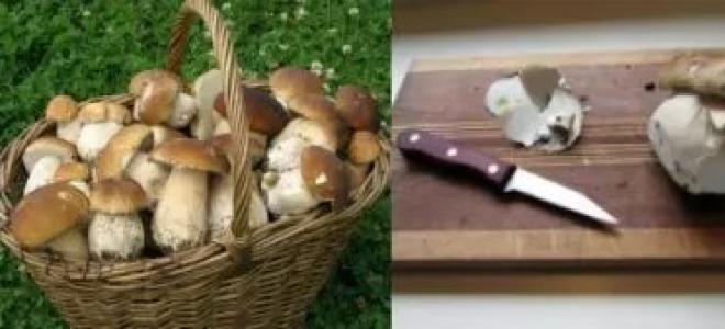 Cколько варить сушеные грибы