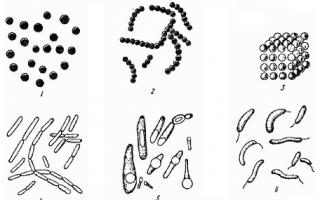 Микробиология как наука Что такое микробиология виды
